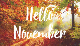 hello-november